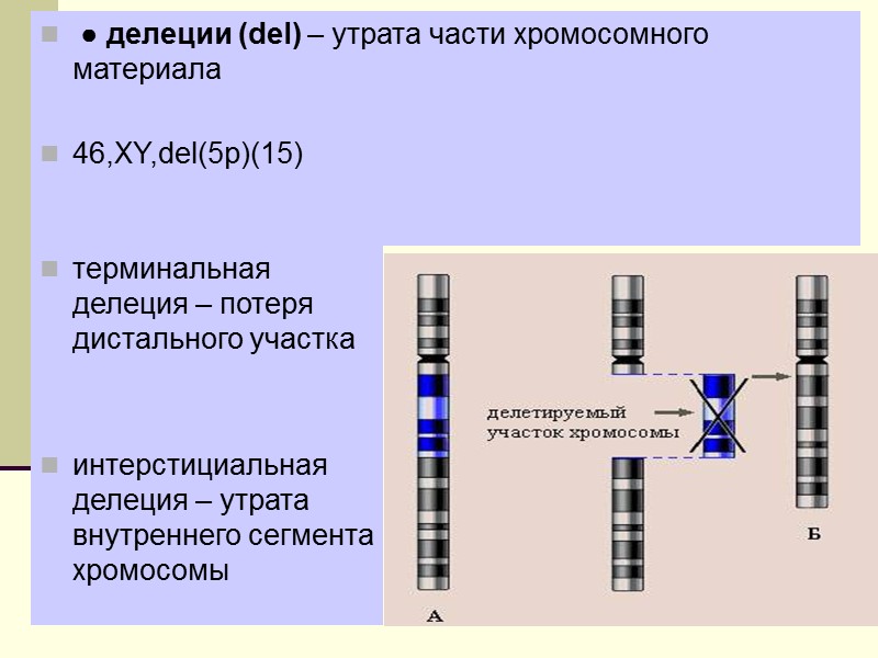 ● дупликации (dup) – удвоение участка хромосомы,   если удваиваемый участок располагается последовательно,